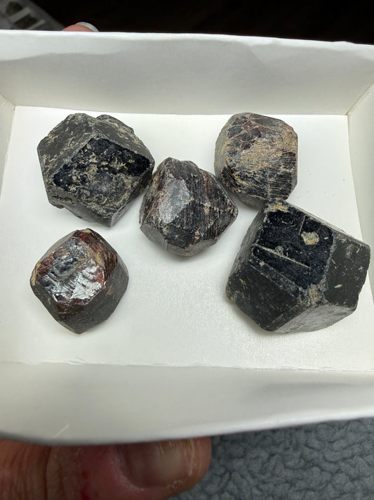 Rough Almandine Garnet Lot (5)- Kayes Region, Mali