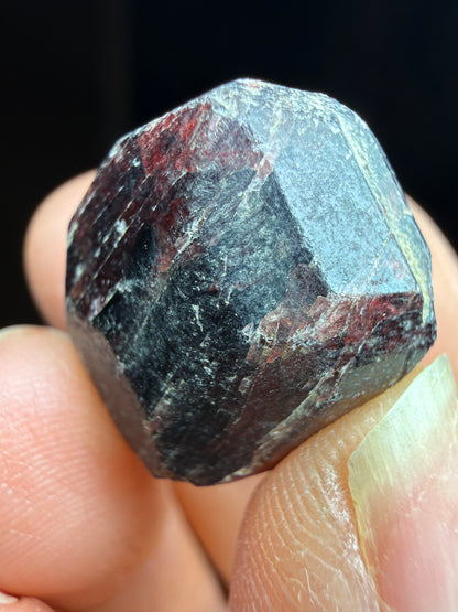 Rough Almandine Garnet Lot (6)- Kayes Region, Mali