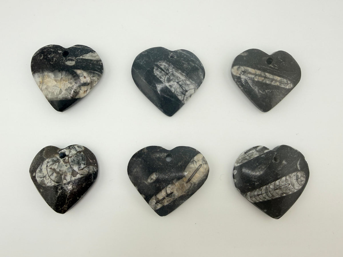 Orthoceras Pendant - Heart