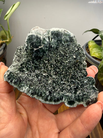 Seraphinite- Zheleznogorsk-Ilimsky, Irkutsk Oblast, Eastern Siberia, Russia