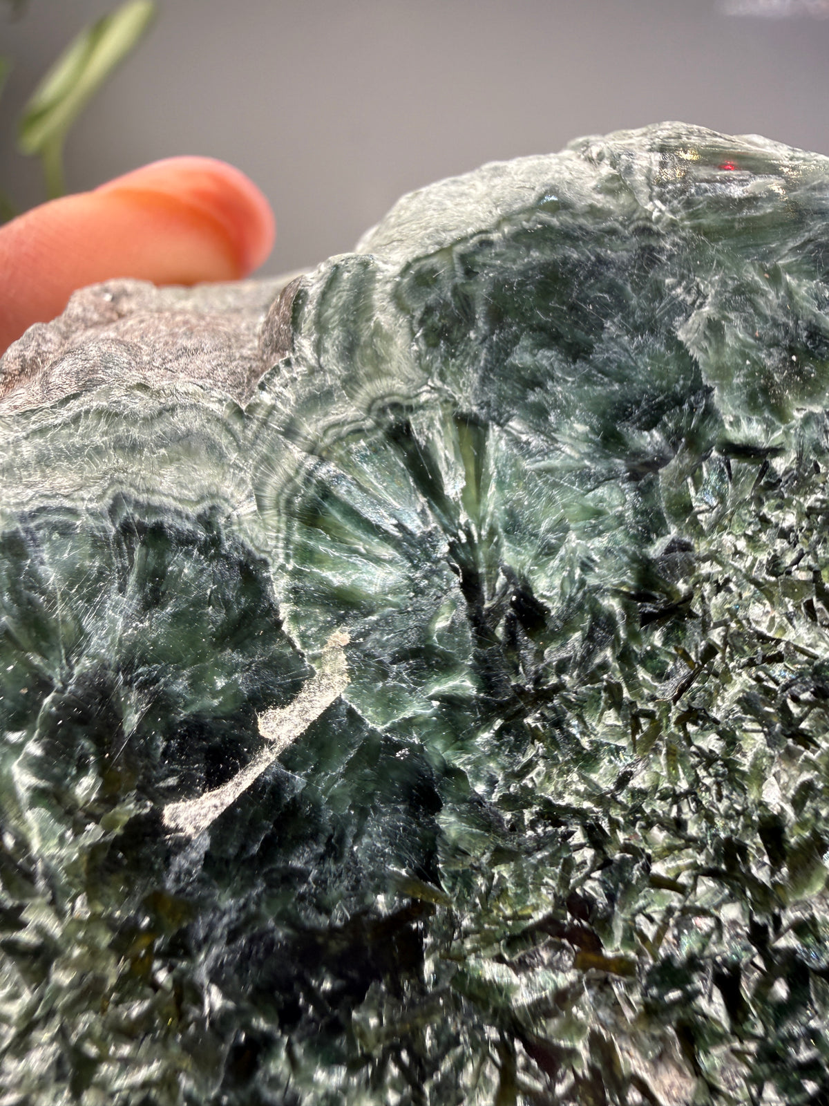 Seraphinite- Zheleznogorsk-Ilimsky, Irkutsk Oblast, Eastern Siberia, Russia