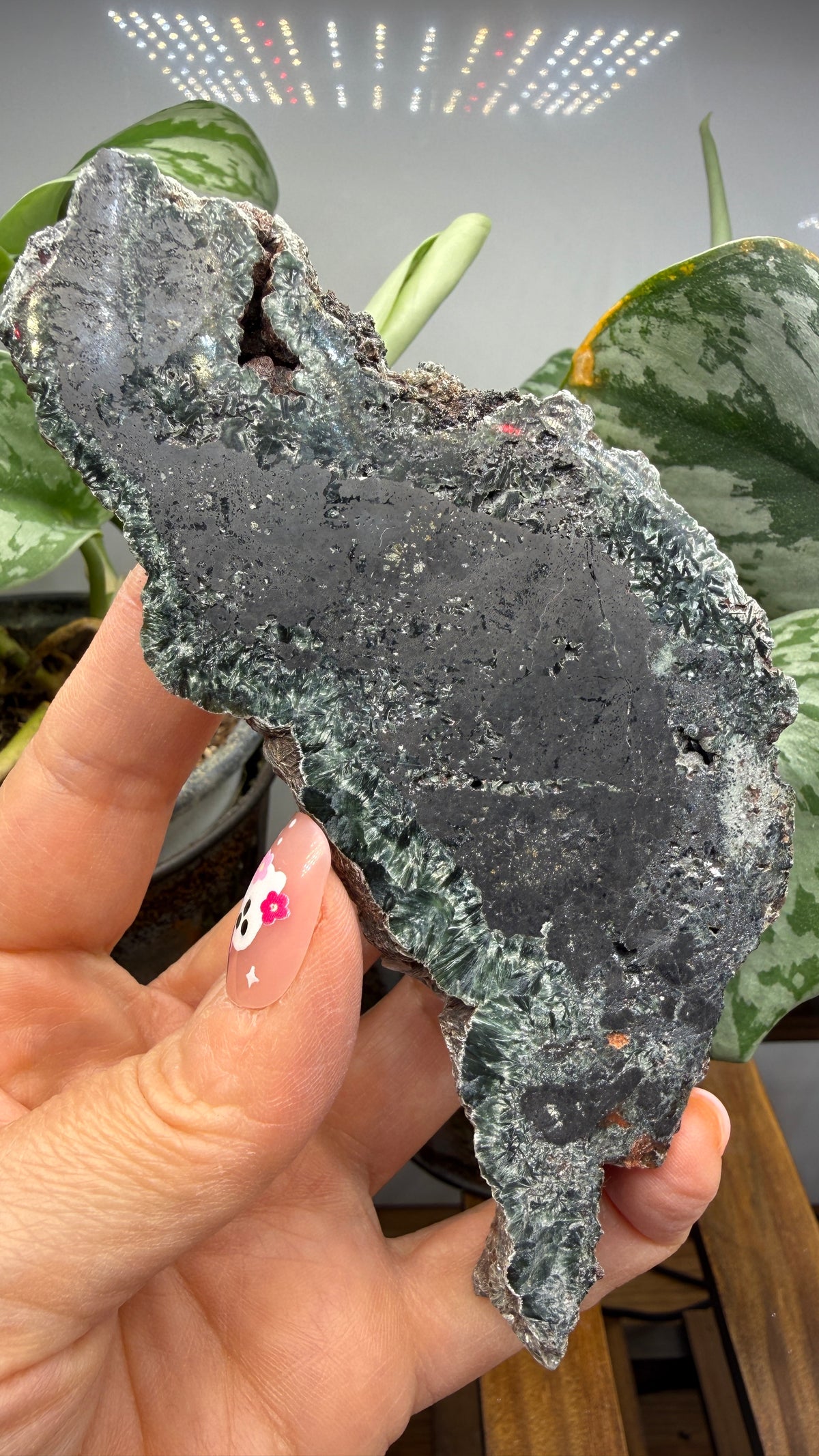 Seraphinite- Zheleznogorsk-Ilimsky, Irkutsk Oblast, Eastern Siberia, Russia