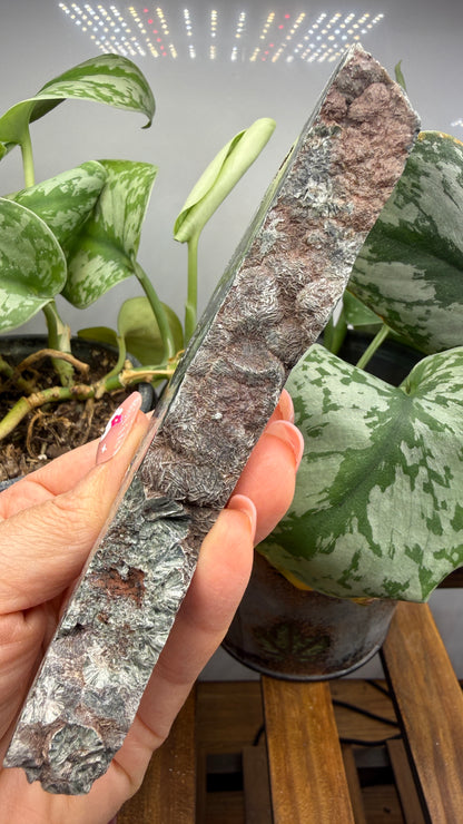 Seraphinite- Zheleznogorsk-Ilimsky, Irkutsk Oblast, Eastern Siberia, Russia