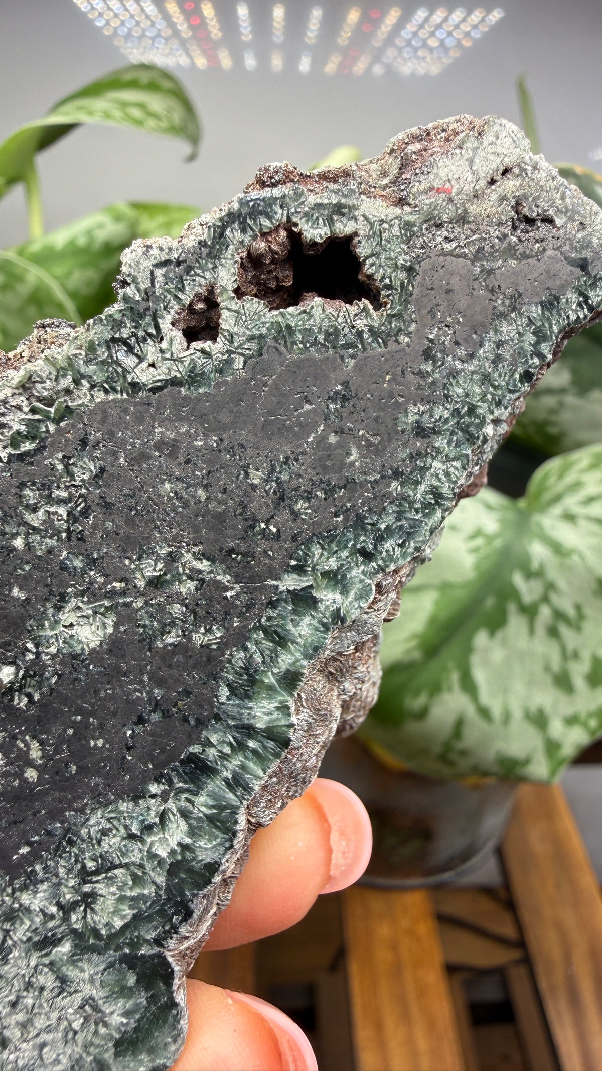Seraphinite- Zheleznogorsk-Ilimsky, Irkutsk Oblast, Eastern Siberia, Russia