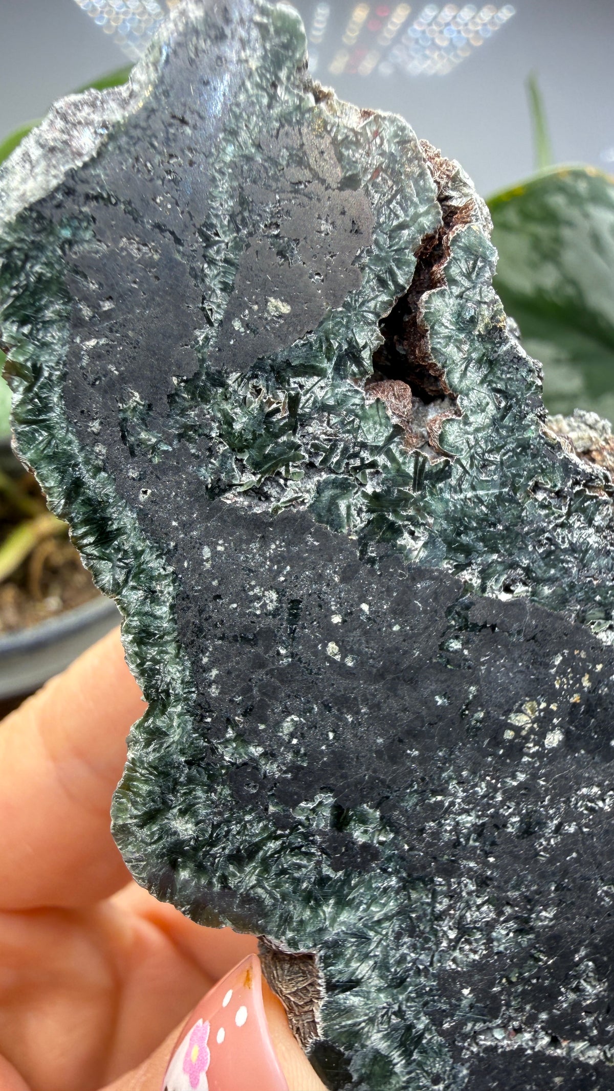 Seraphinite- Zheleznogorsk-Ilimsky, Irkutsk Oblast, Eastern Siberia, Russia
