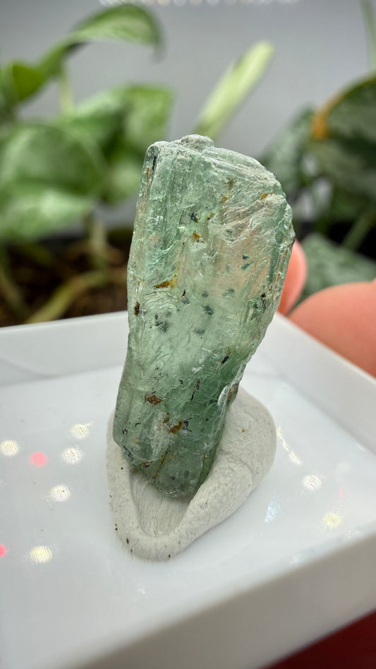 Green Kyanite- Morogoro, Uluguru Mountains, Morogoro Region, Tanzania