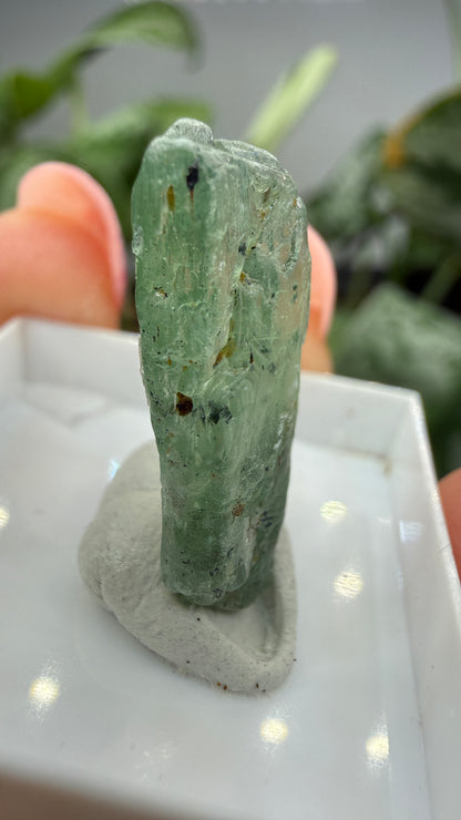 Green Kyanite- Morogoro, Uluguru Mountains, Morogoro Region, Tanzania