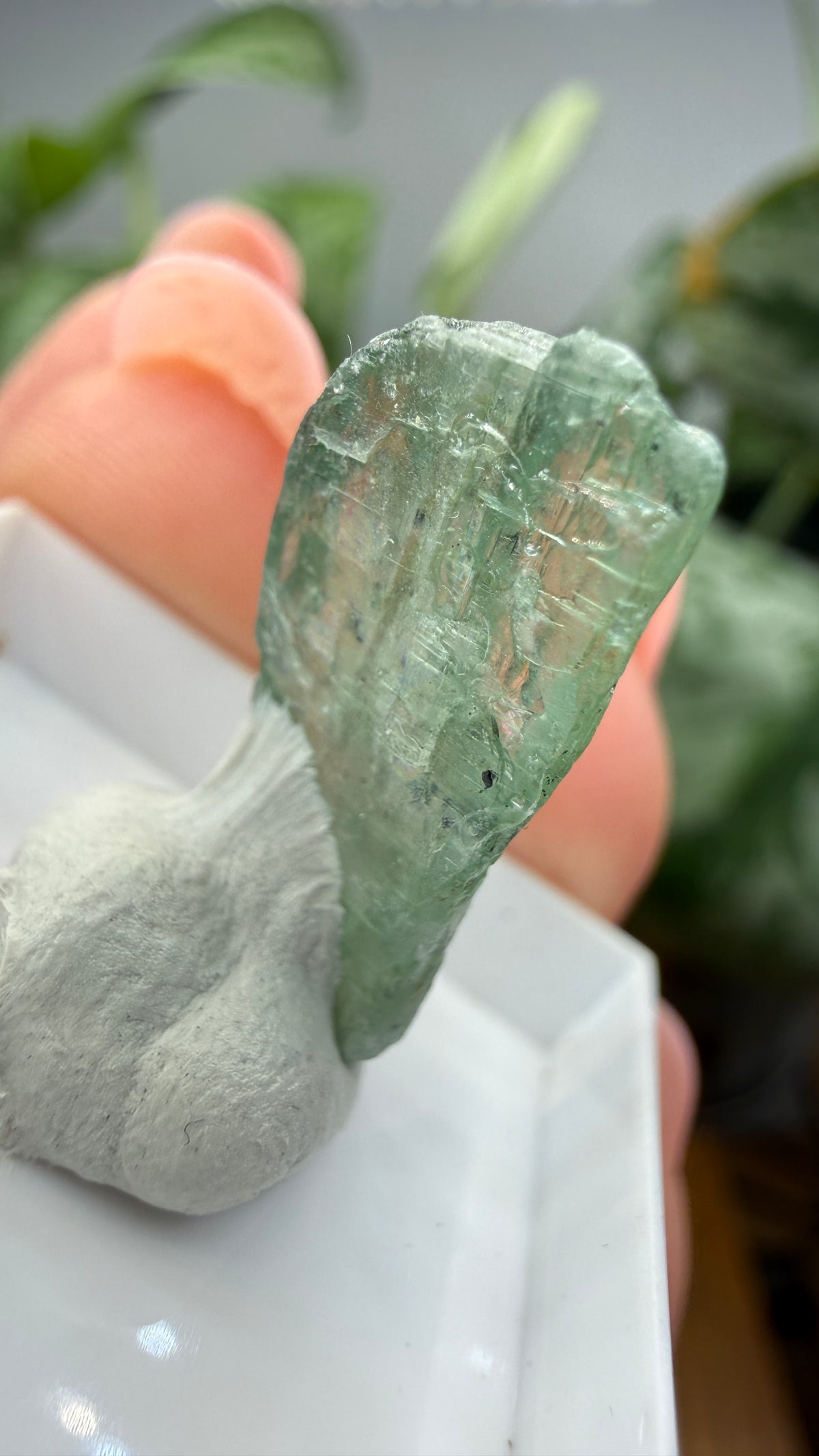 Green Kyanite- Morogoro, Uluguru Mountains, Morogoro Region, Tanzania