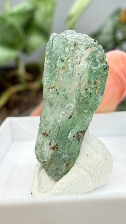 Green Kyanite- Morogoro, Uluguru Mountains, Morogoro Region, Tanzania