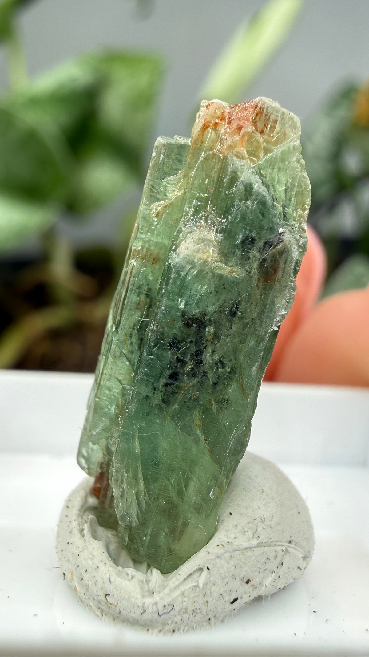 Green Kyanite- Morogoro, Uluguru Mountains, Morogoro Region, Tanzania