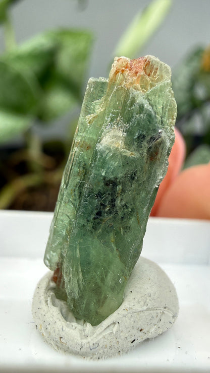 Green Kyanite- Morogoro, Uluguru Mountains, Morogoro Region, Tanzania