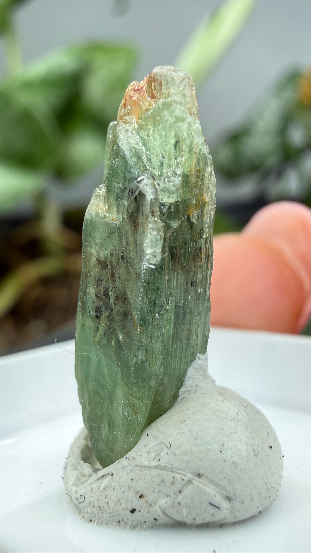Green Kyanite- Morogoro, Uluguru Mountains, Morogoro Region, Tanzania