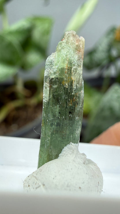 Green Kyanite- Morogoro, Uluguru Mountains, Morogoro Region, Tanzania