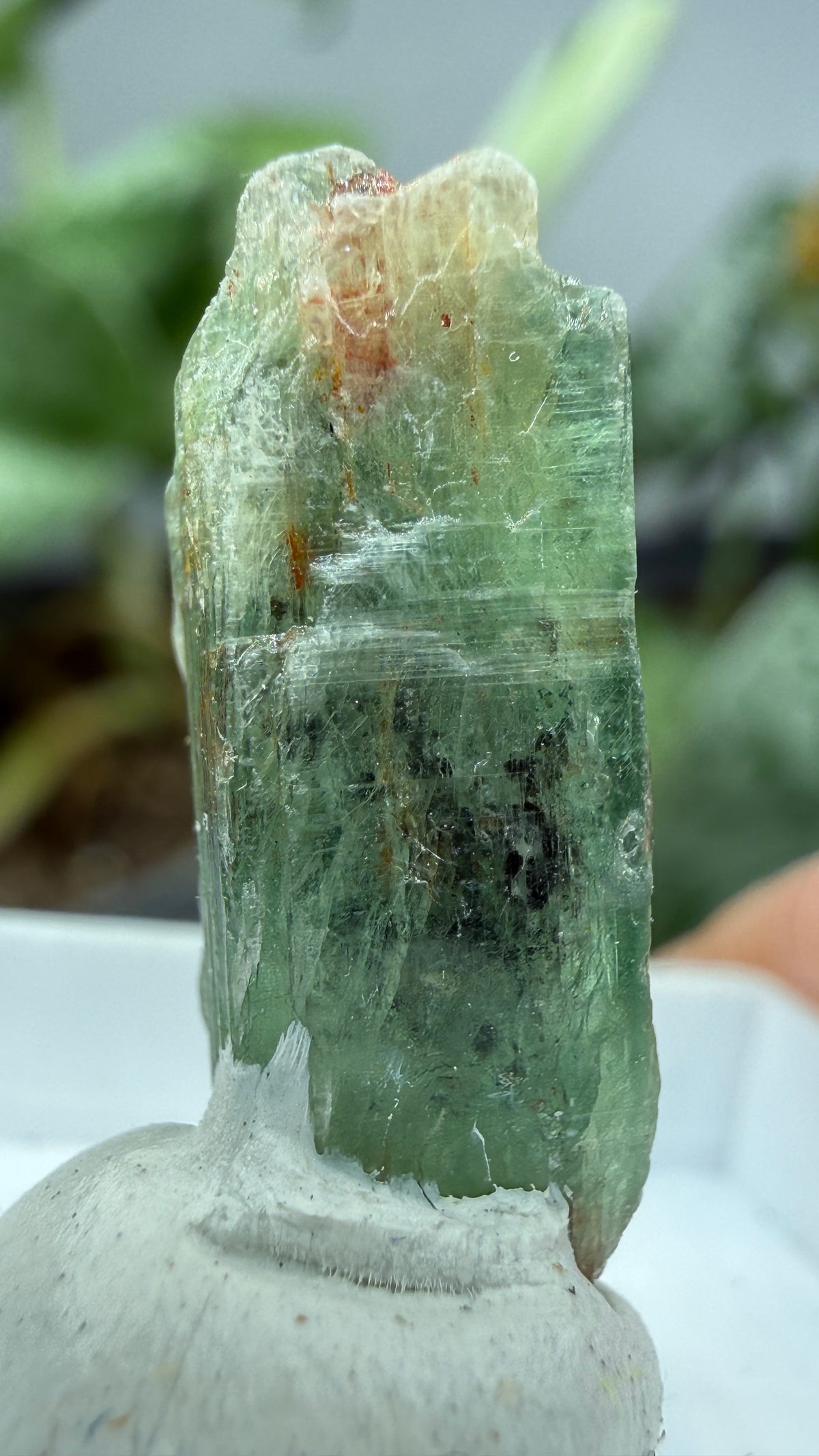 Green Kyanite- Morogoro, Uluguru Mountains, Morogoro Region, Tanzania