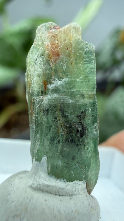 Green Kyanite- Morogoro, Uluguru Mountains, Morogoro Region, Tanzania