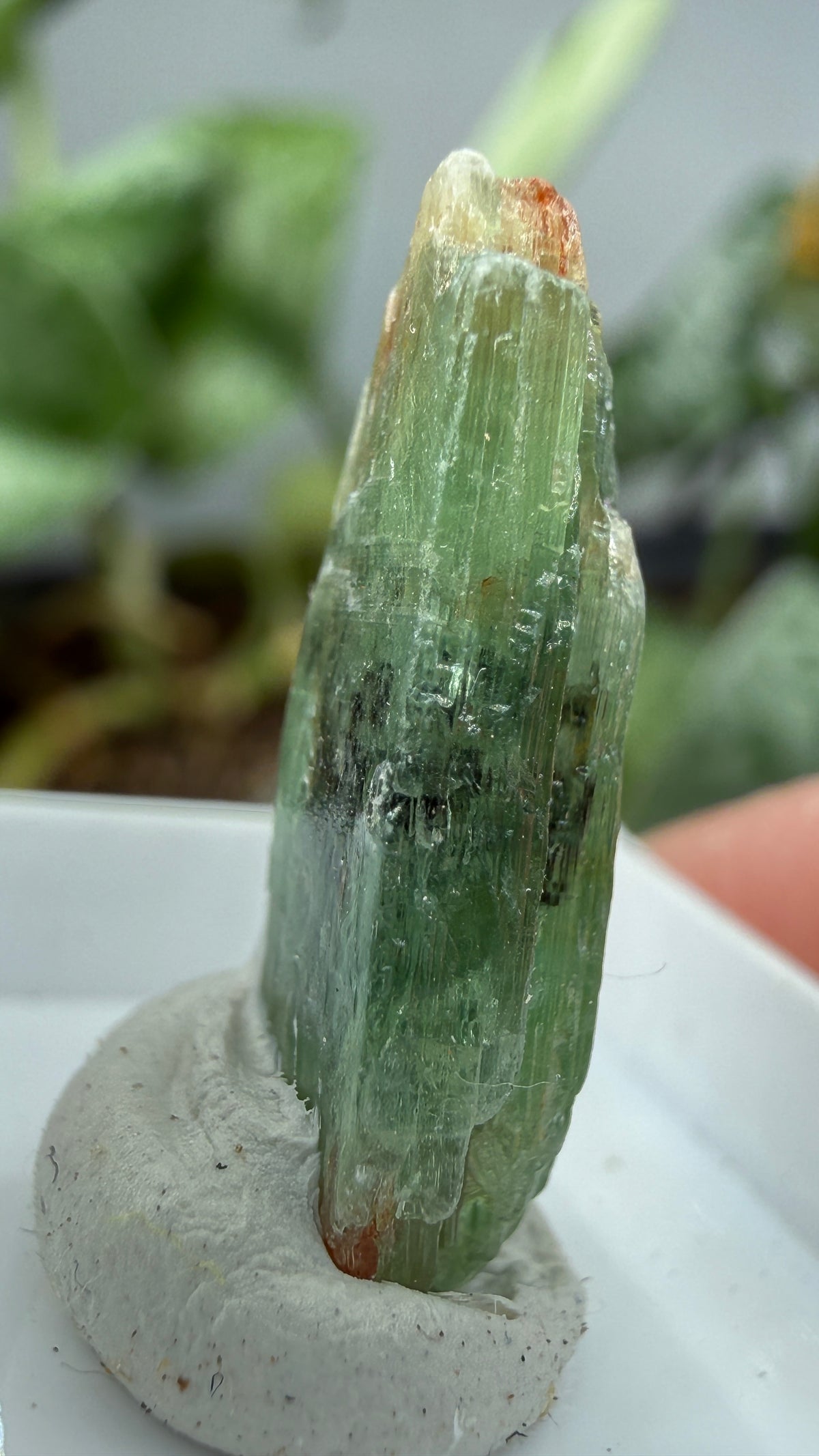 Green Kyanite- Morogoro, Uluguru Mountains, Morogoro Region, Tanzania