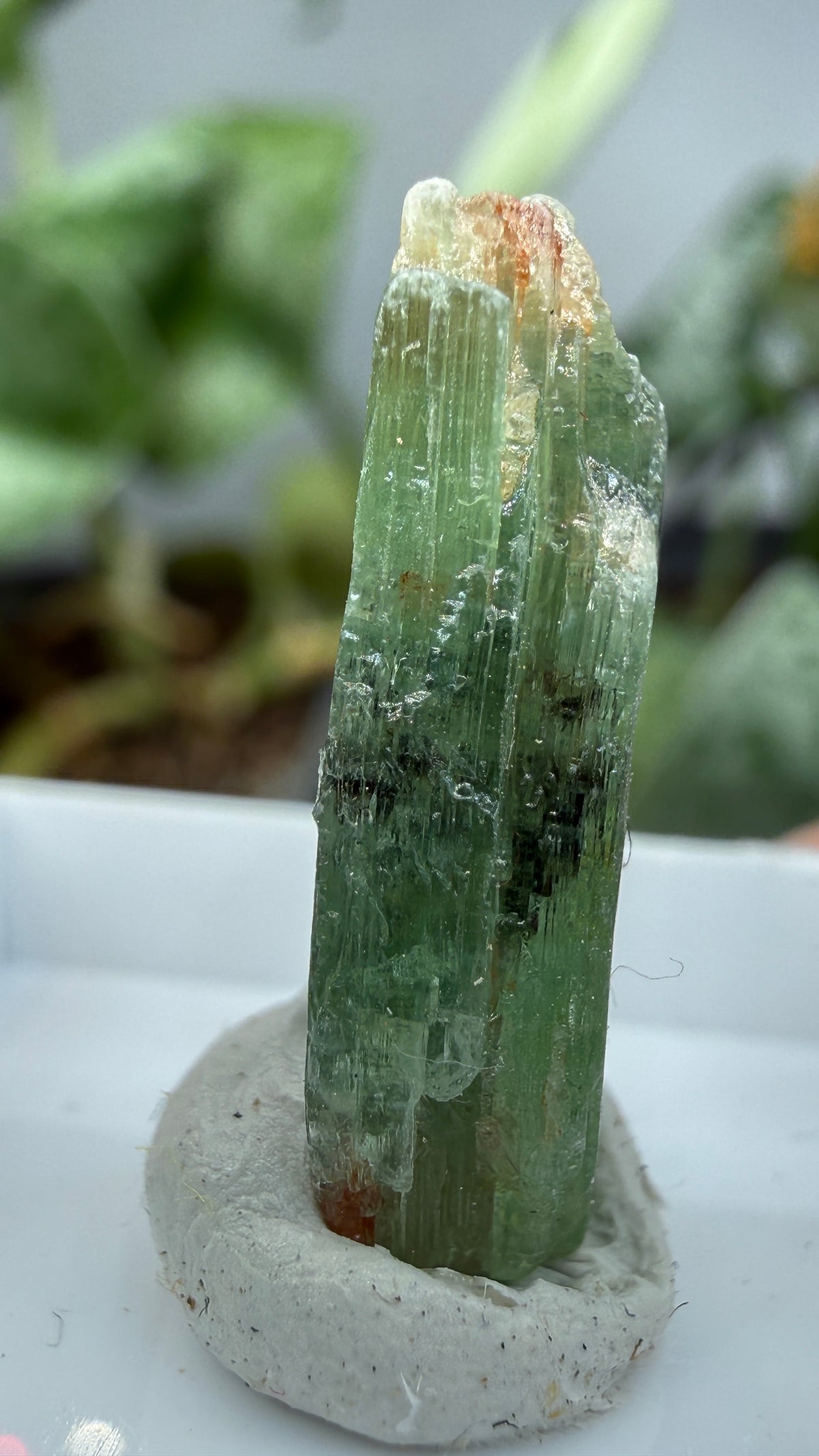 Green Kyanite- Morogoro, Uluguru Mountains, Morogoro Region, Tanzania