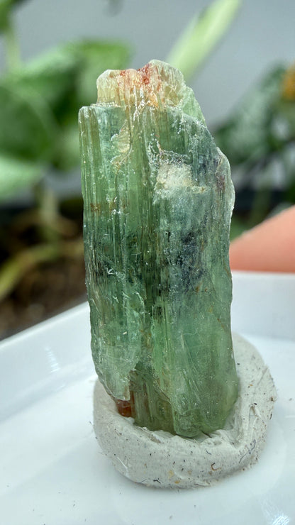 Green Kyanite- Morogoro, Uluguru Mountains, Morogoro Region, Tanzania