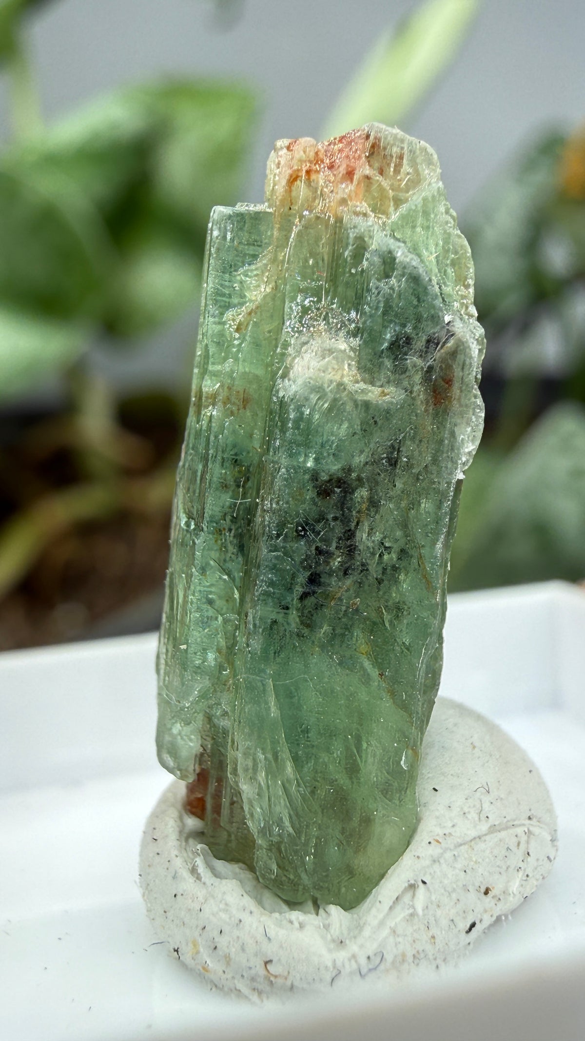 Green Kyanite- Morogoro, Uluguru Mountains, Morogoro Region, Tanzania