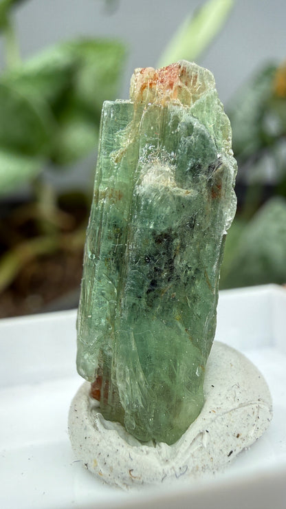 Green Kyanite- Morogoro, Uluguru Mountains, Morogoro Region, Tanzania