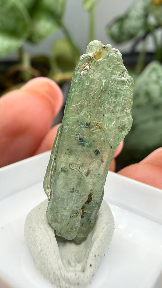 Green Kyanite- Morogoro, Uluguru Mountains, Morogoro Region, Tanzania