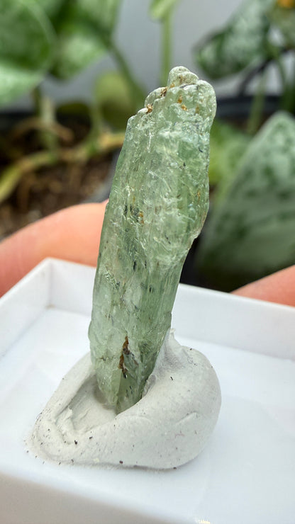 Green Kyanite- Morogoro, Uluguru Mountains, Morogoro Region, Tanzania