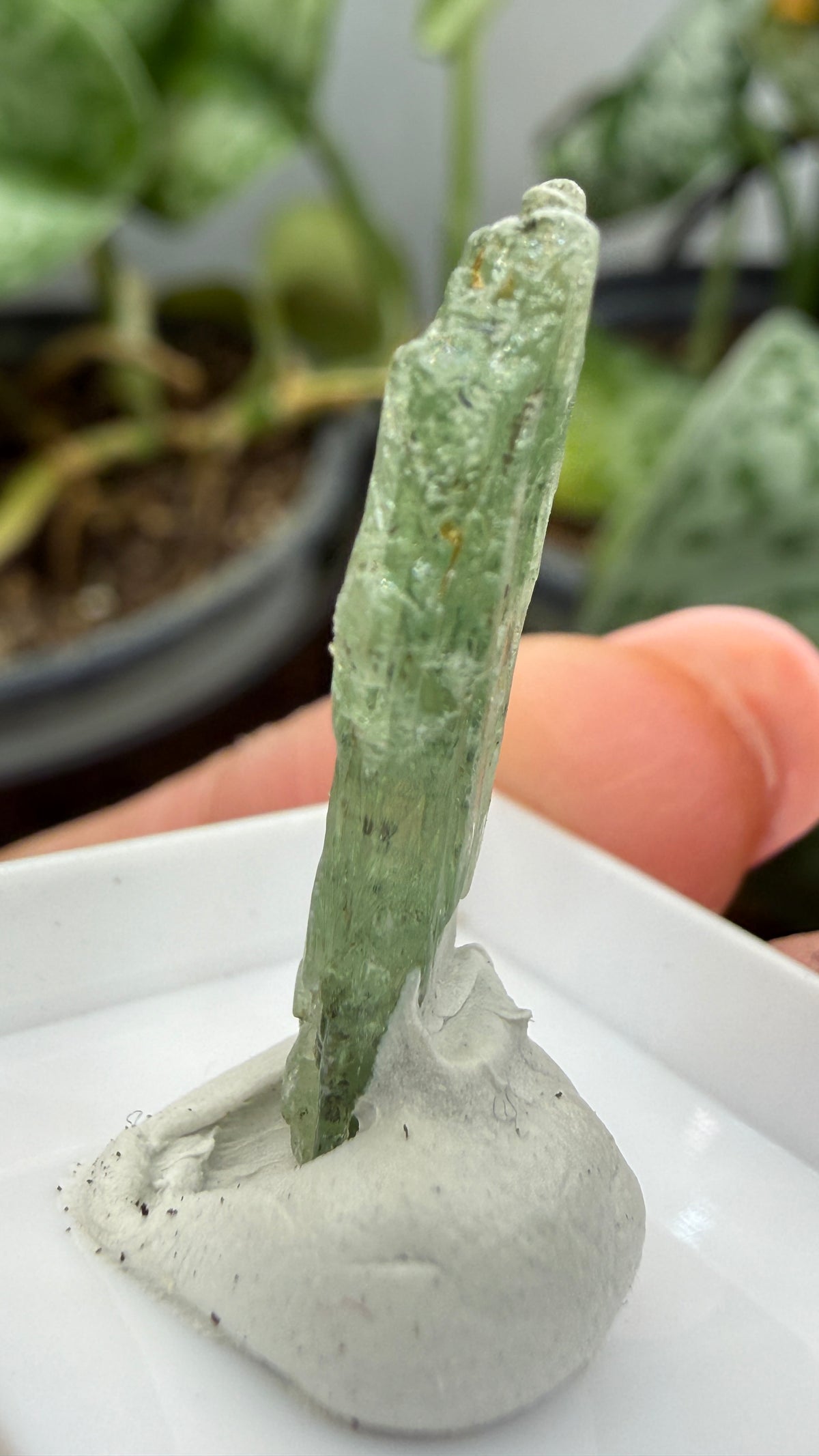 Green Kyanite- Morogoro, Uluguru Mountains, Morogoro Region, Tanzania