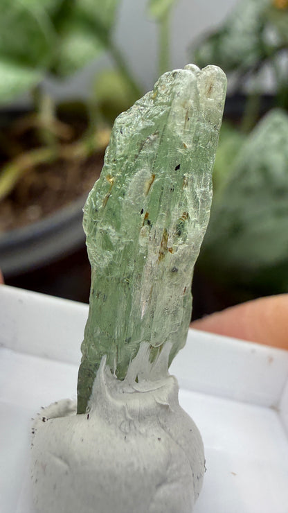 Green Kyanite- Morogoro, Uluguru Mountains, Morogoro Region, Tanzania