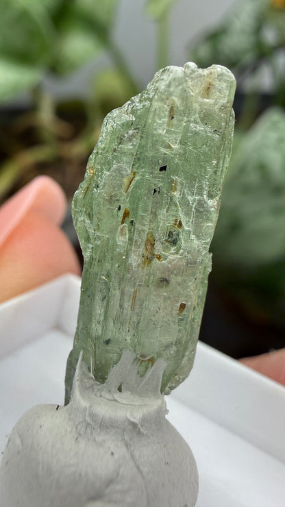 Green Kyanite- Morogoro, Uluguru Mountains, Morogoro Region, Tanzania