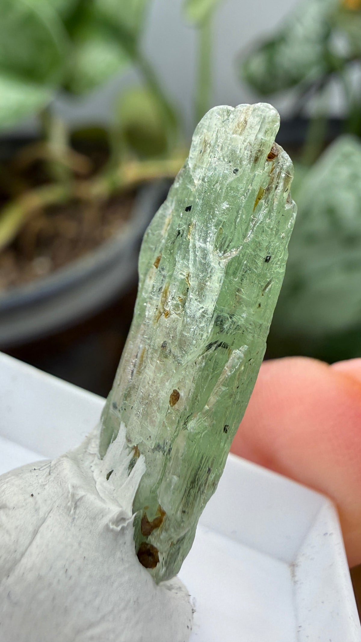 Green Kyanite- Morogoro, Uluguru Mountains, Morogoro Region, Tanzania