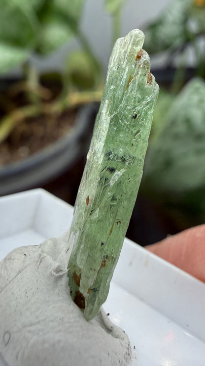 Green Kyanite- Morogoro, Uluguru Mountains, Morogoro Region, Tanzania