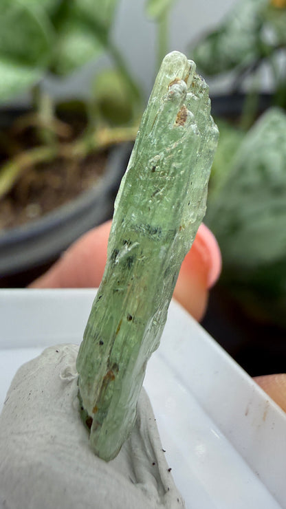 Green Kyanite- Morogoro, Uluguru Mountains, Morogoro Region, Tanzania