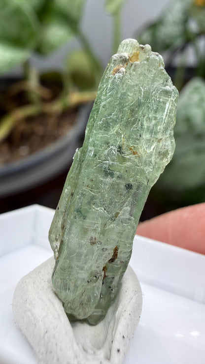 Green Kyanite- Morogoro, Uluguru Mountains, Morogoro Region, Tanzania