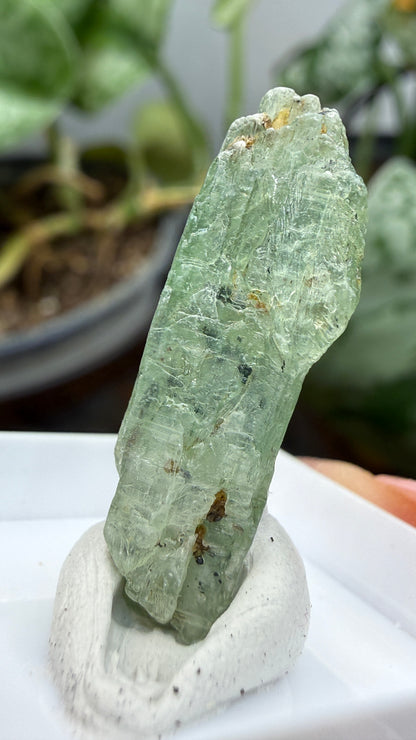 Green Kyanite- Morogoro, Uluguru Mountains, Morogoro Region, Tanzania