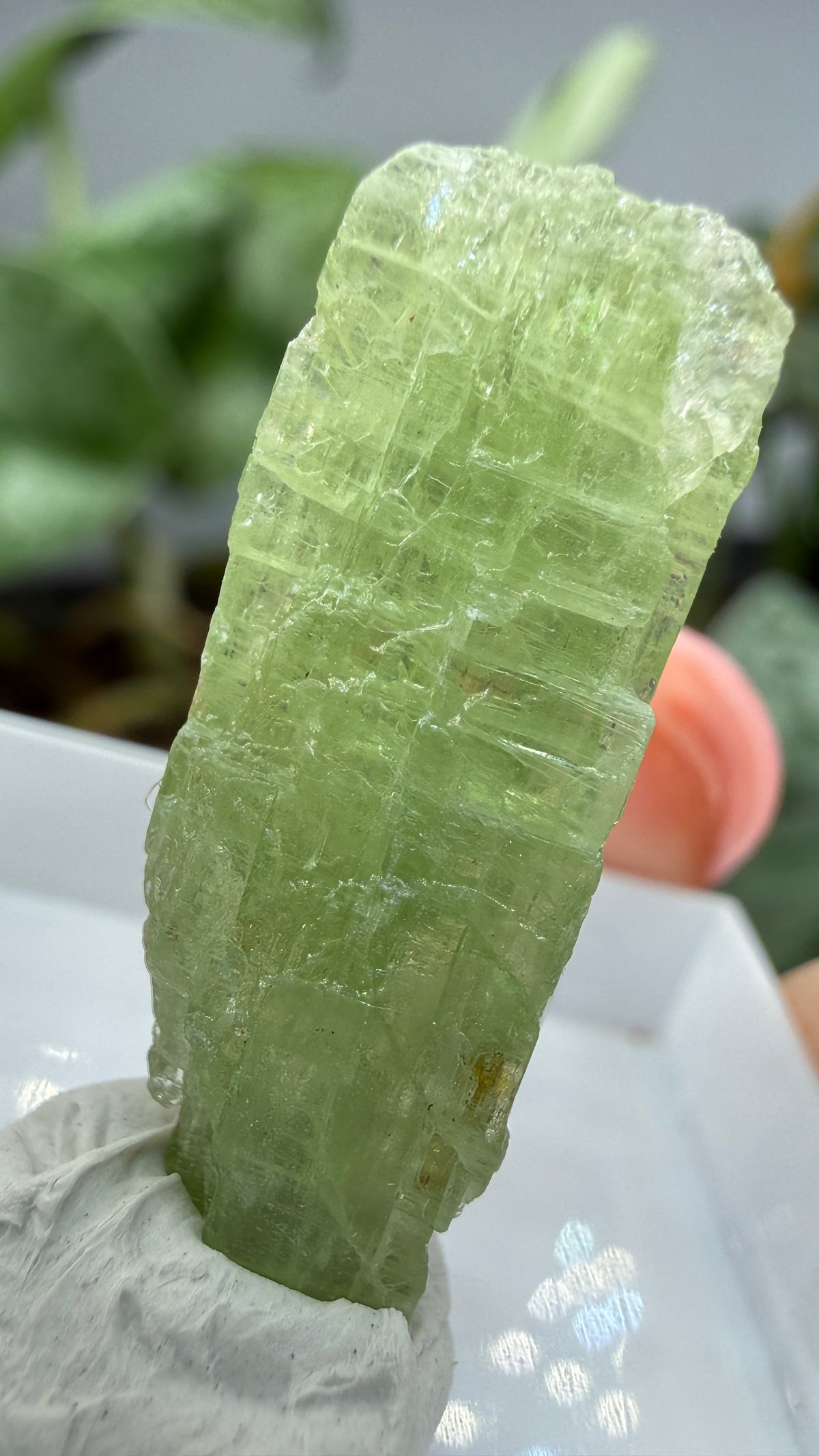 Green Kyanite- Morogoro, Uluguru Mountains, Morogoro Region, Tanzania
