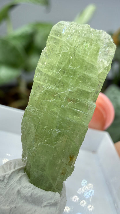 Green Kyanite- Morogoro, Uluguru Mountains, Morogoro Region, Tanzania