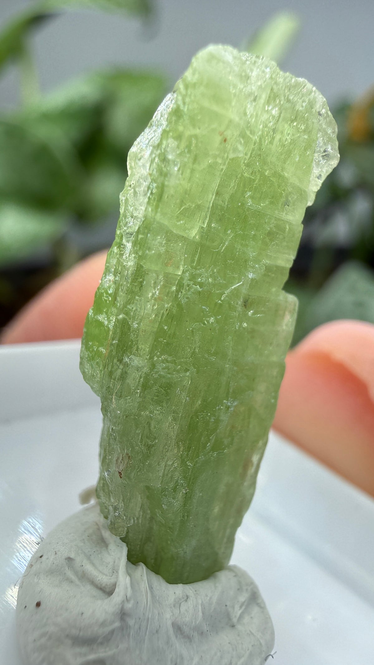 Green Kyanite- Morogoro, Uluguru Mountains, Morogoro Region, Tanzania