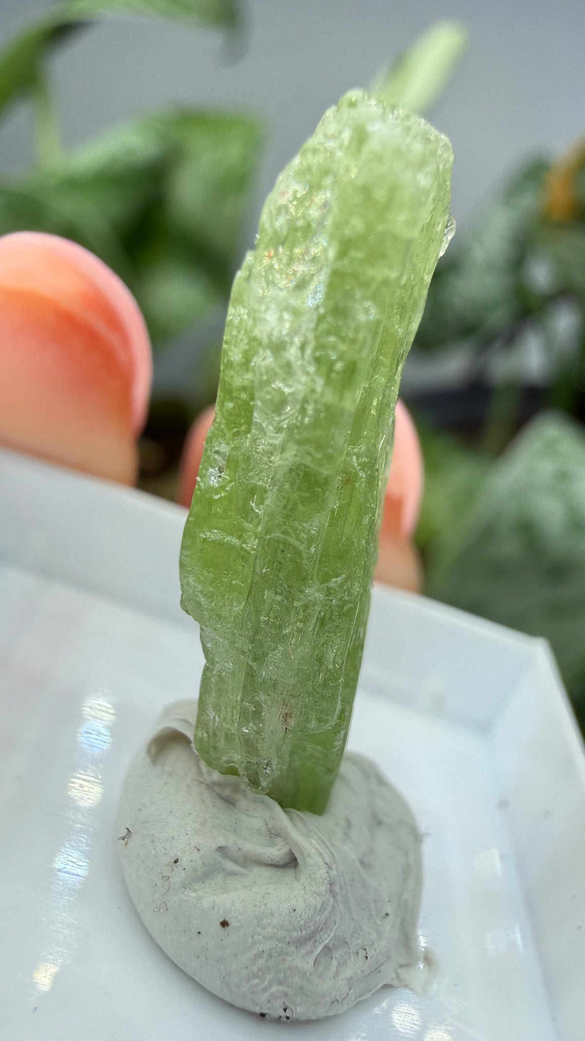 Green Kyanite- Morogoro, Uluguru Mountains, Morogoro Region, Tanzania