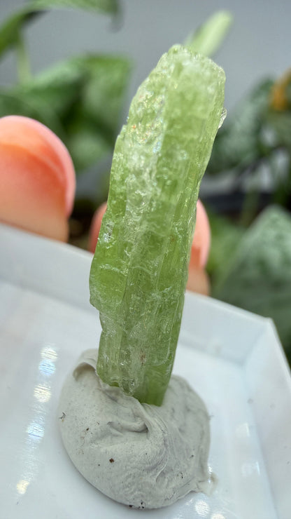 Green Kyanite- Morogoro, Uluguru Mountains, Morogoro Region, Tanzania