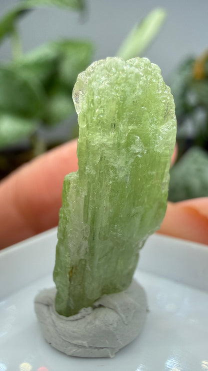 Green Kyanite- Morogoro, Uluguru Mountains, Morogoro Region, Tanzania