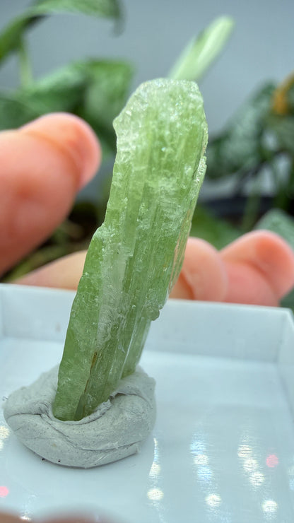 Green Kyanite- Morogoro, Uluguru Mountains, Morogoro Region, Tanzania