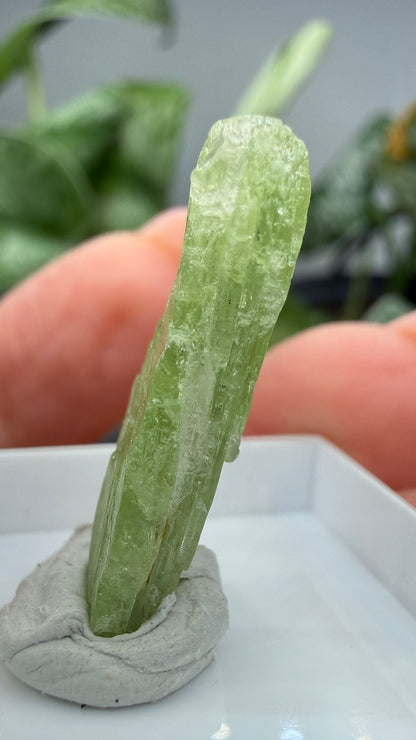 Green Kyanite- Morogoro, Uluguru Mountains, Morogoro Region, Tanzania