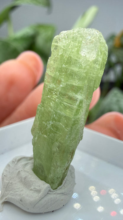 Green Kyanite- Morogoro, Uluguru Mountains, Morogoro Region, Tanzania