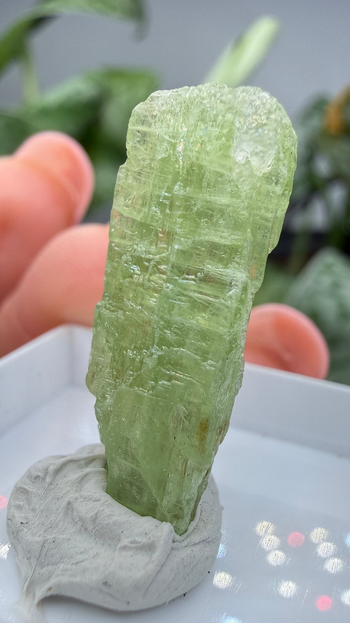 Green Kyanite- Morogoro, Uluguru Mountains, Morogoro Region, Tanzania