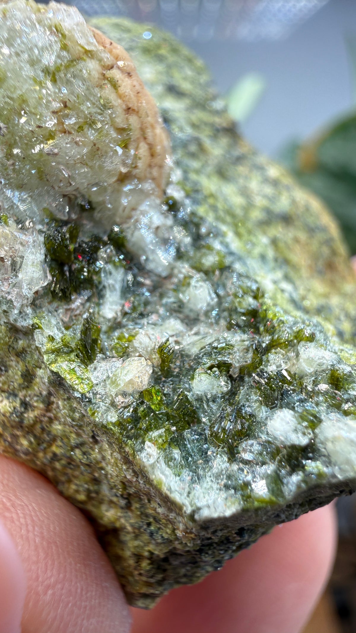 Prehnite with Epidote- Imilchil, Midelt Province, Drâa-Tafilalet Region, Morocco
