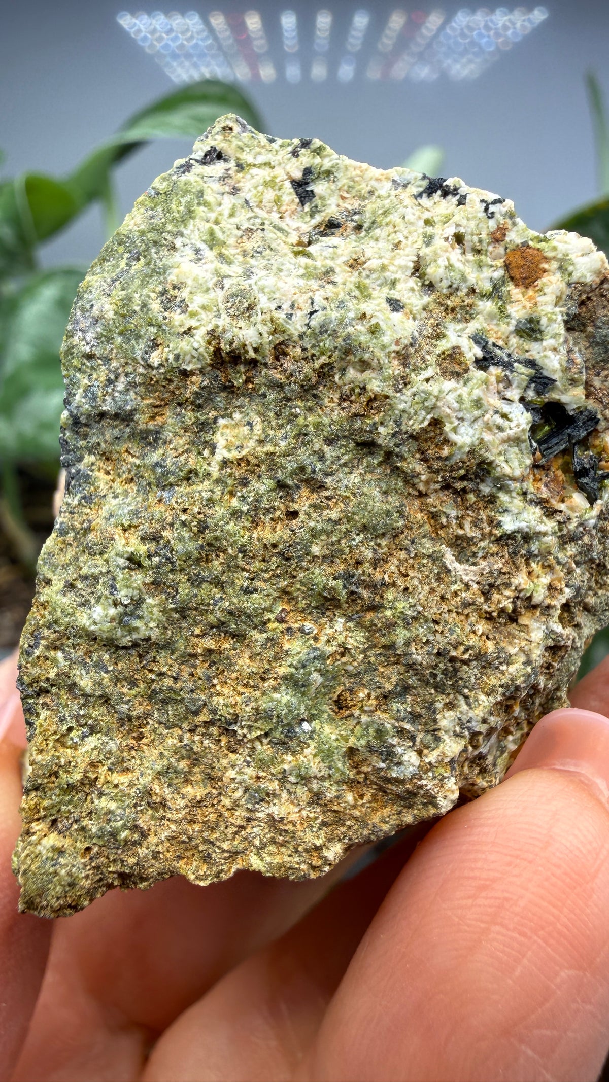 Prehnite with Epidote- Imilchil, Midelt Province, Drâa-Tafilalet Region, Morocco