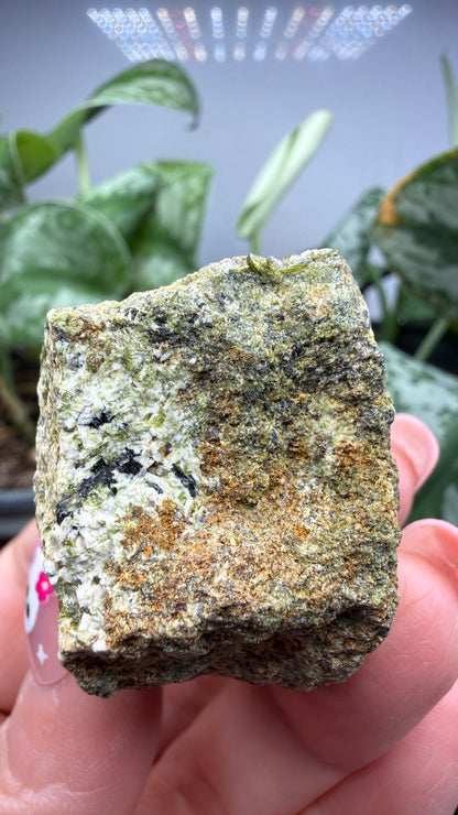 Prehnite with Epidote- Imilchil, Midelt Province, Drâa-Tafilalet Region, Morocco