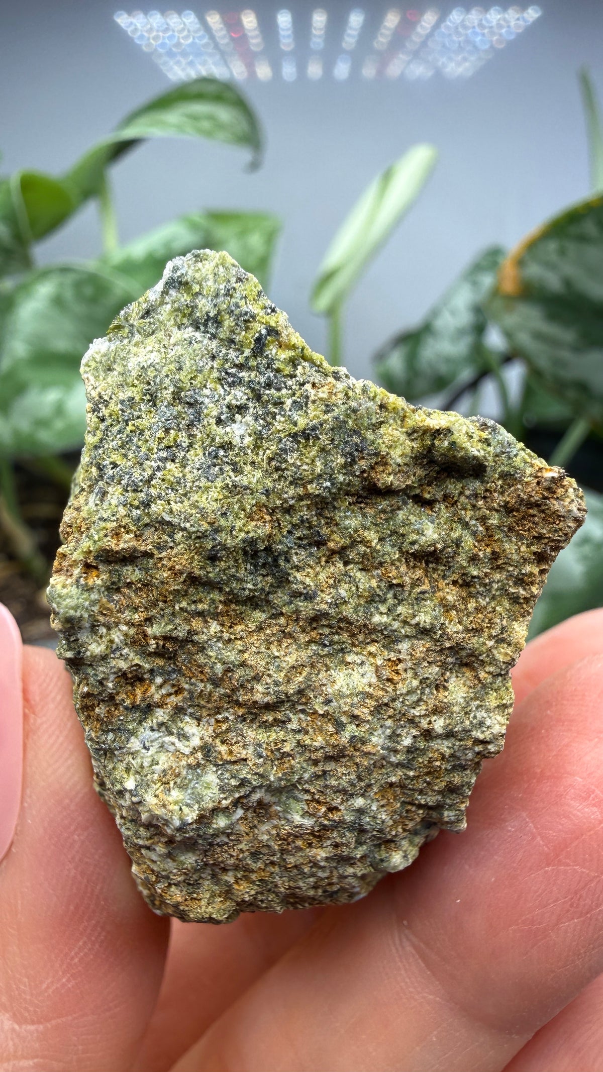 Prehnite with Epidote- Imilchil, Midelt Province, Drâa-Tafilalet Region, Morocco