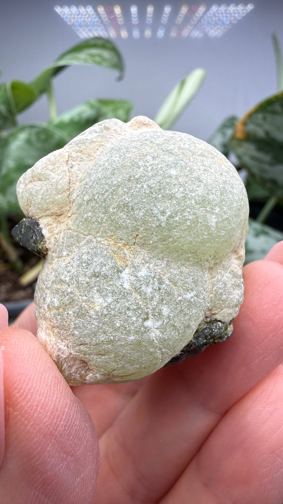 Botryoidal Prehnite with Epidote- Bosso Mine, Bendoukou, Kayes Region, Mali