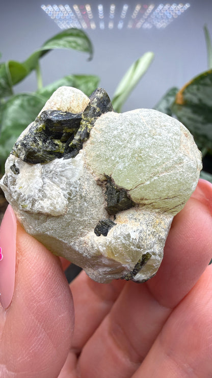 Botryoidal Prehnite with Epidote- Bosso Mine, Bendoukou, Kayes Region, Mali